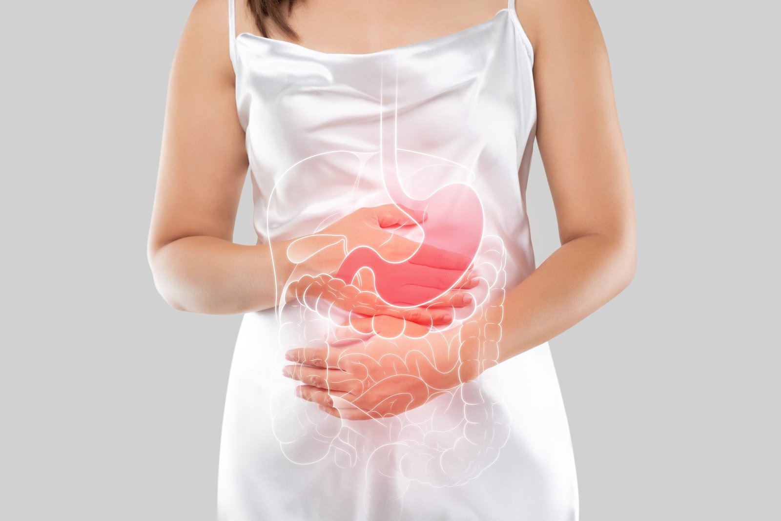internal organs of the human body.